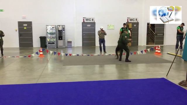 «Соколы» посетили соревнования по Танковому биатлону в Алабино. смотреть онлайн