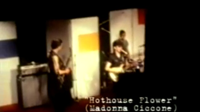 Emmy the Emmys - Do You Hothouse Flower (1980) смотреть онлайн