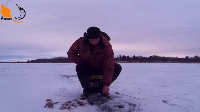 Первый лёд. Открыли зимний сезон 2020 - 2021. Окунь на блесну. Щука на жерлицы. Рыбалка в Кирове. смотреть онлайн