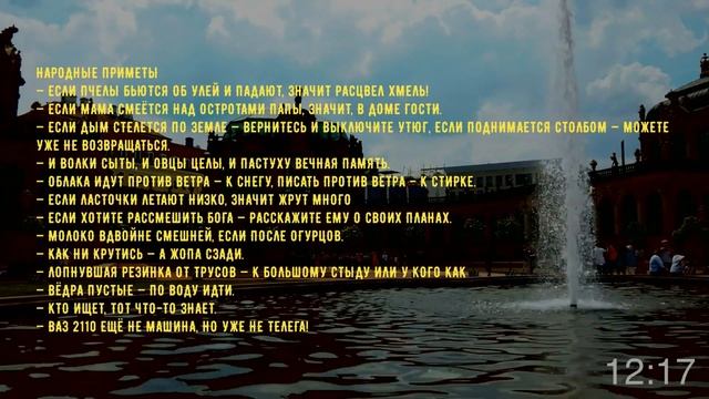 Как ни крутись — а жопа сзади Подборка остроумных колких анекдотов и афоризмов на любой случай жизн смотреть онлайн