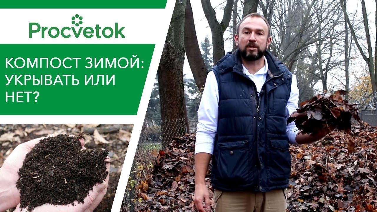 КОМПОСТ ЗИМОЙ. Как содержать? Нужно ли укрывать компост?