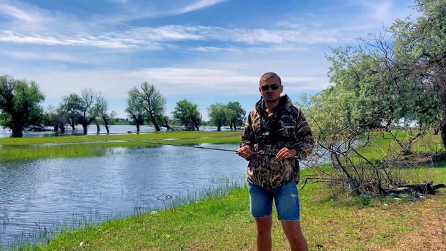 Aiko Isabella 3 + Ryobi Spiritual dx 800. Обзор. смотреть онлайн