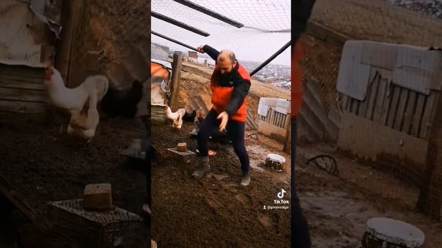 Деревенские бальные танцы в грязи ????? смотреть онлайн