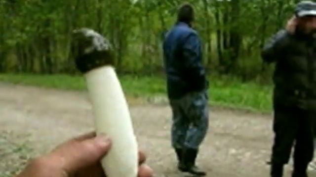 Вонючий гриб смотреть онлайн