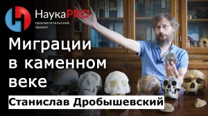 Миграции древних людей в каменном веке – Станислав Дробышевский | Лекции по антропологии | Научпоп