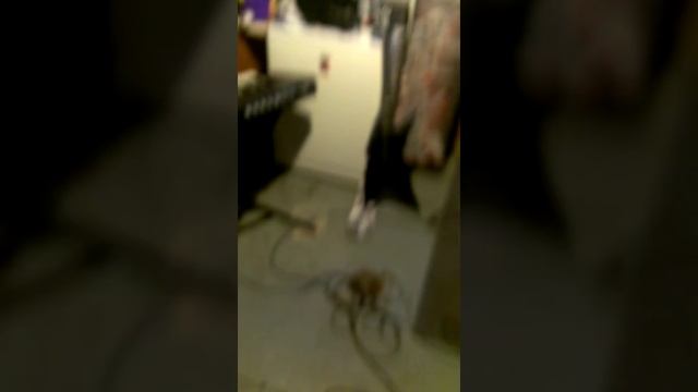 Exit humanity demo смотреть онлайн