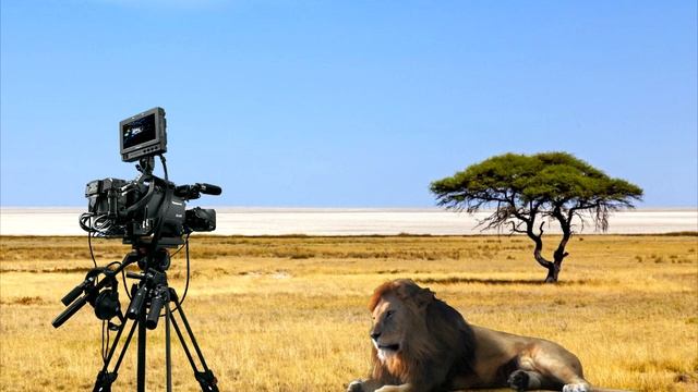 Секрет фильма.Как снимали Король Лев 2019.The Lion King 2019 смотреть онлайн