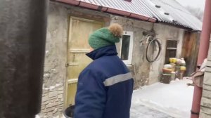 Содержание карликовых кур зимой, вечернее кормление. Карликовые куры. Бентамки