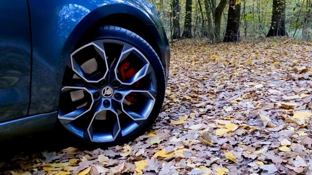 Skoda Octavia RS ('15)