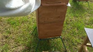 Вывод маток методом переноса личинок.