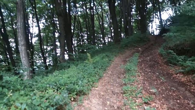 Сатанинский гриб | КАРПАТЫ смотреть онлайн