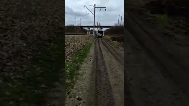 Мусорщики в Индустриальном портят природу ! погоня! жесть! чп! смотреть онлайн
