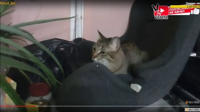 Вечерний разговор 10 февраля смотреть онлайн