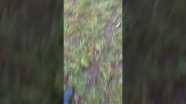 Ж.О.П.А.Старая Русса Новгородская обл смотреть онлайн