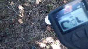Minelab gold monster 1000