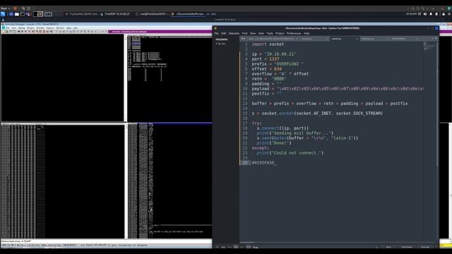 Buffer Overflow | Tib3rius | OSCP PREP смотреть онлайн