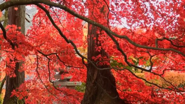 Абай Кунанбаев: Слова назидания. Слово сорок четвертое. #абай #абайқұнанбаев #абайкунанбаев смотреть онлайн