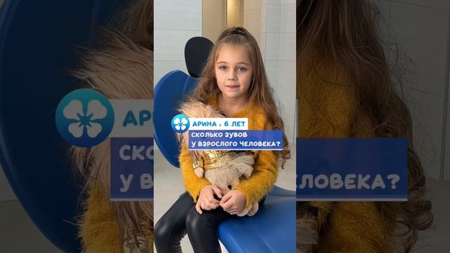 Сколько Зубов у взрослого человека? смотреть онлайн