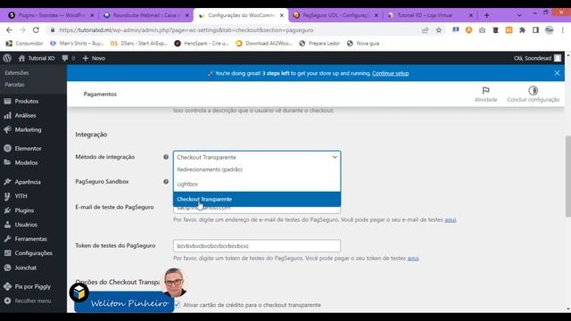 Como instalar pagseguro em minha loja virtual woocommerce Wordpress Elementor смотреть онлайн