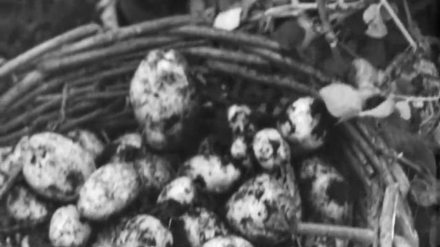 Завод - селу, 1961. смотреть онлайн