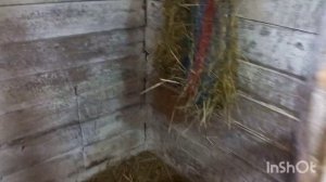 Сколько места нужно козам. Размеры загонов