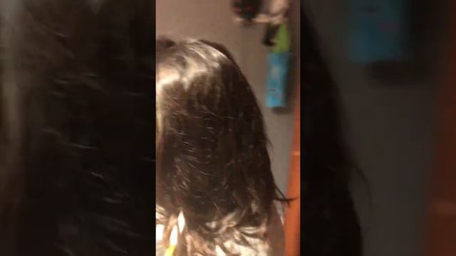 Hunting For The Wild Turkish Van