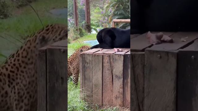 February 6, 2024 смотреть онлайн