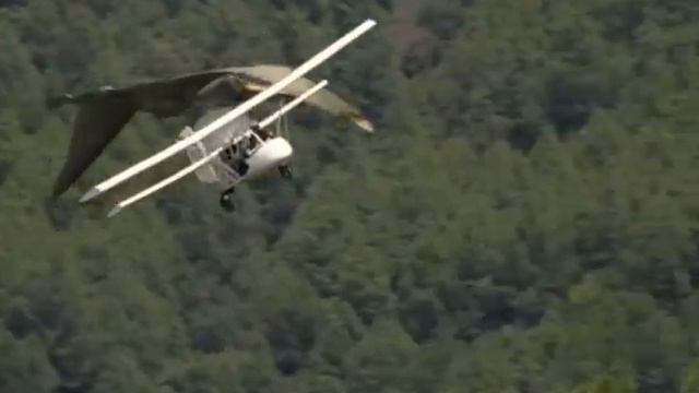 Орнитохейр ( В стране гигантов ) смотреть онлайн