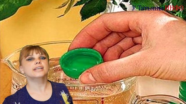 3 золотых СЕКРЕТА по уходу за комнатными растениями!!! смотреть онлайн