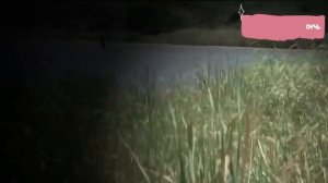 Охота на Африканских Львов с Ружьями!!