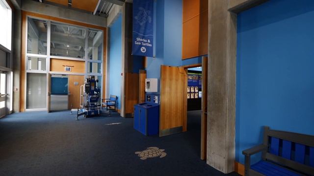 Virtual Walkthrough of the Virginia Aquarium смотреть онлайн