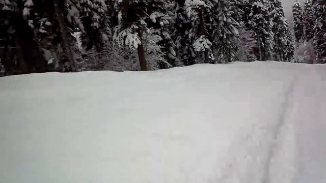 Как бы лес... смотреть онлайн