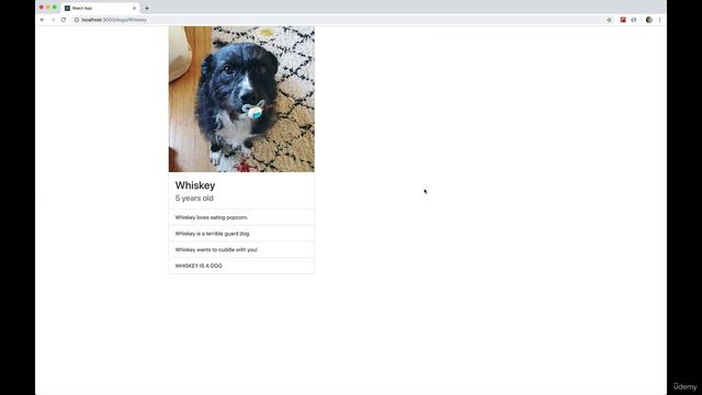23 - Router Exercises Part 2