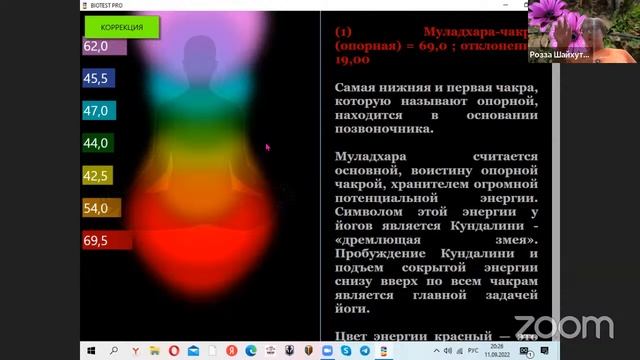 Зал персональной конференции Marina Bolgarov