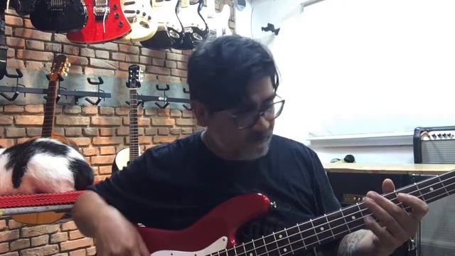 Baixo Fender Jazz Bass смотреть онлайн