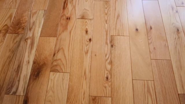 MarioLemieuxRealEstate.com - Real Estate Video Bloopers - photobomb cat смотреть онлайн