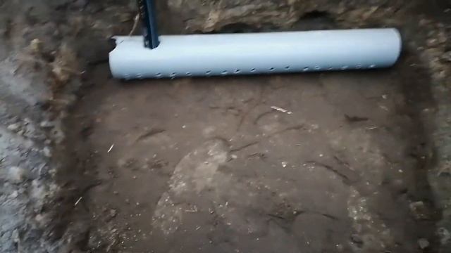 Пересадка винограда,сорта -Лора и Кодрянка.Выживут ли после пересадки! смотреть онлайн