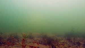 Зимняя рыбалка. Ловля Ротана на Чертика. Подводное видео