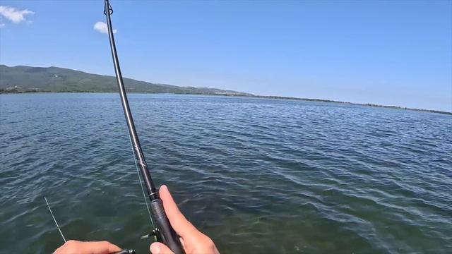 QUI È PIENO DI PREDATORI AFFAMATI! Pesca Topwater da Kayak in laguna di Orbetello! Spigole Orate C& смотреть онлайн