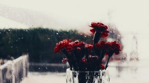 12 правил жизни | Джордан Питерсон | Правило 1 - аудиокнига