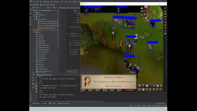 Yolov3 Object Detection In Old School Runescape using Python code, Detecting Cows - Botting - osrs смотреть онлайн