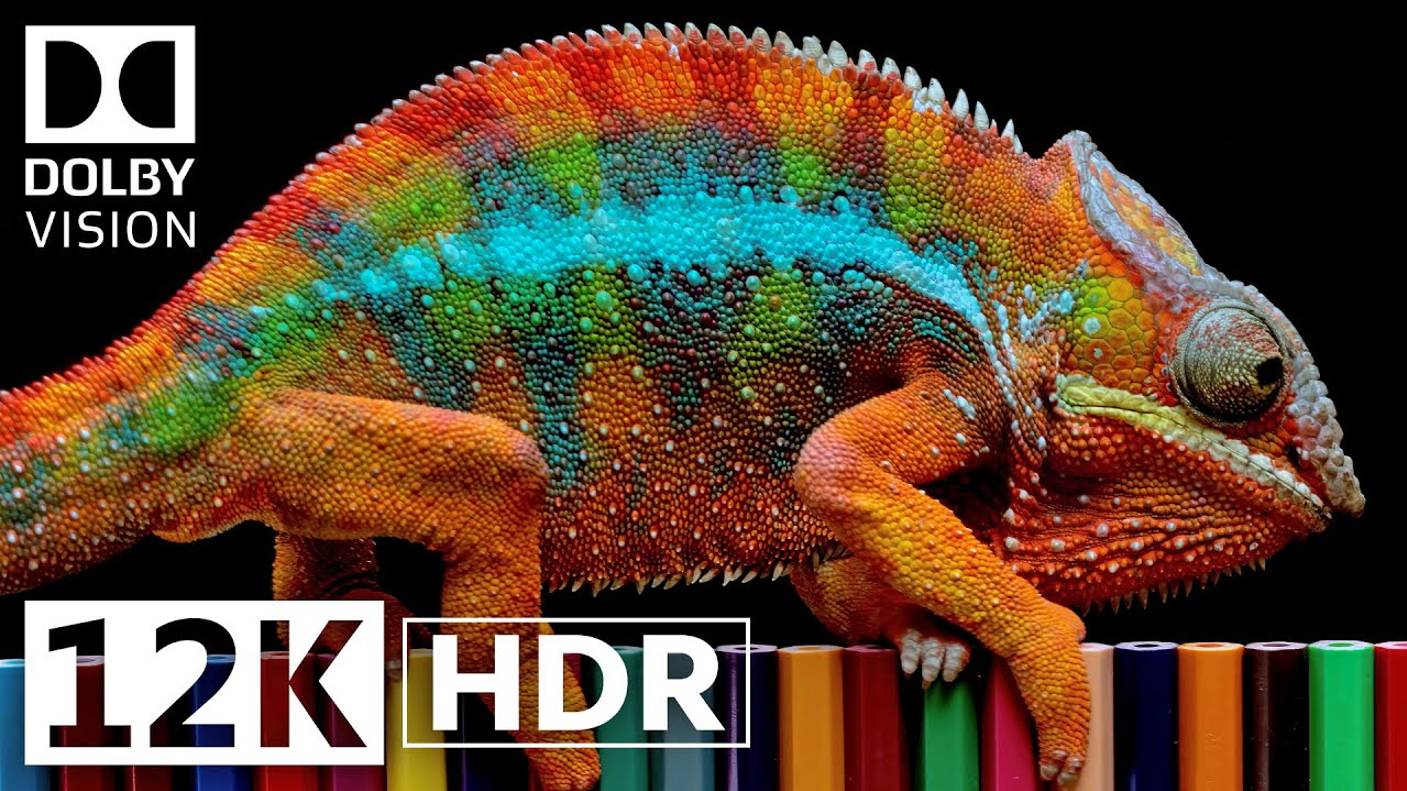 Настоящее HDR 12K 60fFPS Dolby Vision