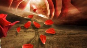 Искры в камине  -  Ефрем Амирамов