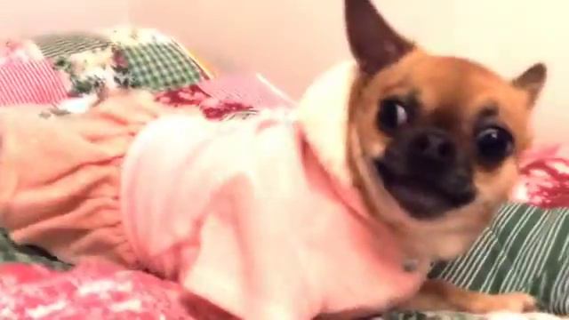 "Santa Tell Me-Рождество о приди! АСичка ооо Асичка! смотреть онлайн