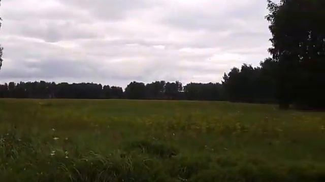 Света косит траву. смотреть онлайн