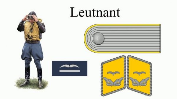 Система воинских званий Люфтваффе. Погоны и петлицы Luftwaffe. Авиация Третьего Рейха