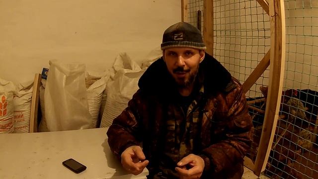 Почему не растут вьетнамские поросята? // Вьетнамские свиньи смотреть онлайн