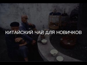 КИТАЙСКИЙ ЧАЙ ДЛЯ НОВИЧКОВ