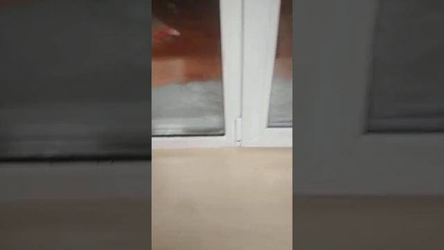 Декеник 71 баутек , три камеры профиль . Довольно жёсткий . смотреть онлайн