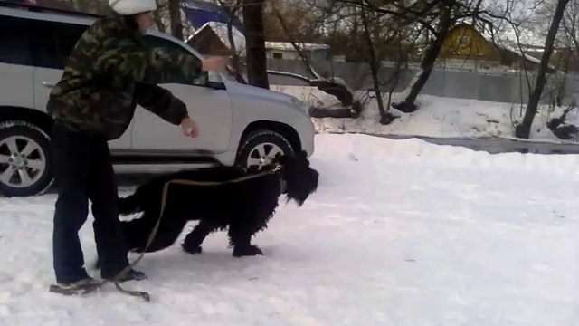 VID_20170215_094418 смотреть онлайн